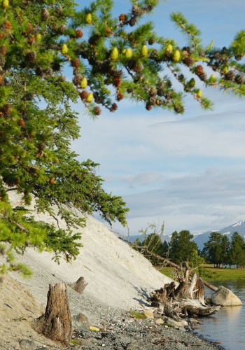 Nature & Eco Tour