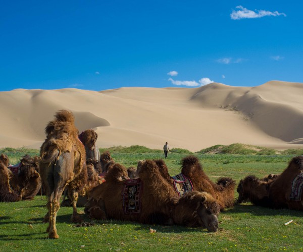 Southern Mongolia