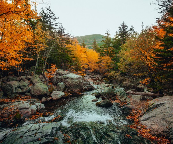 Autumn