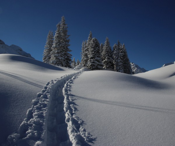 Winter