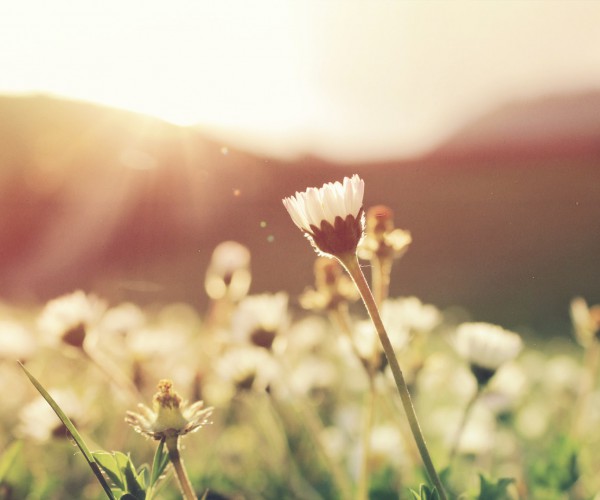 Spring