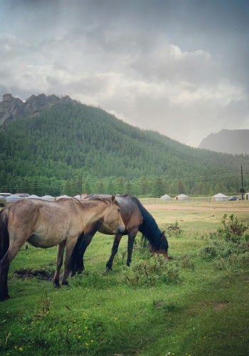 Horse Riding