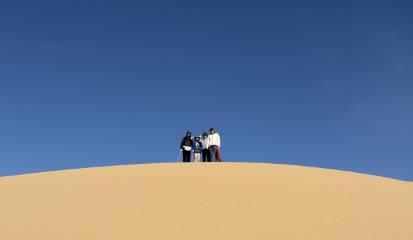 From Desert to Steppe