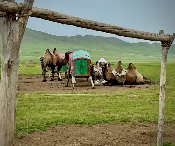 Mongol nomadic camp